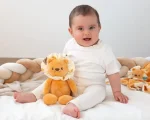 Jucarie de plus 29CM - Lion - imagine 2